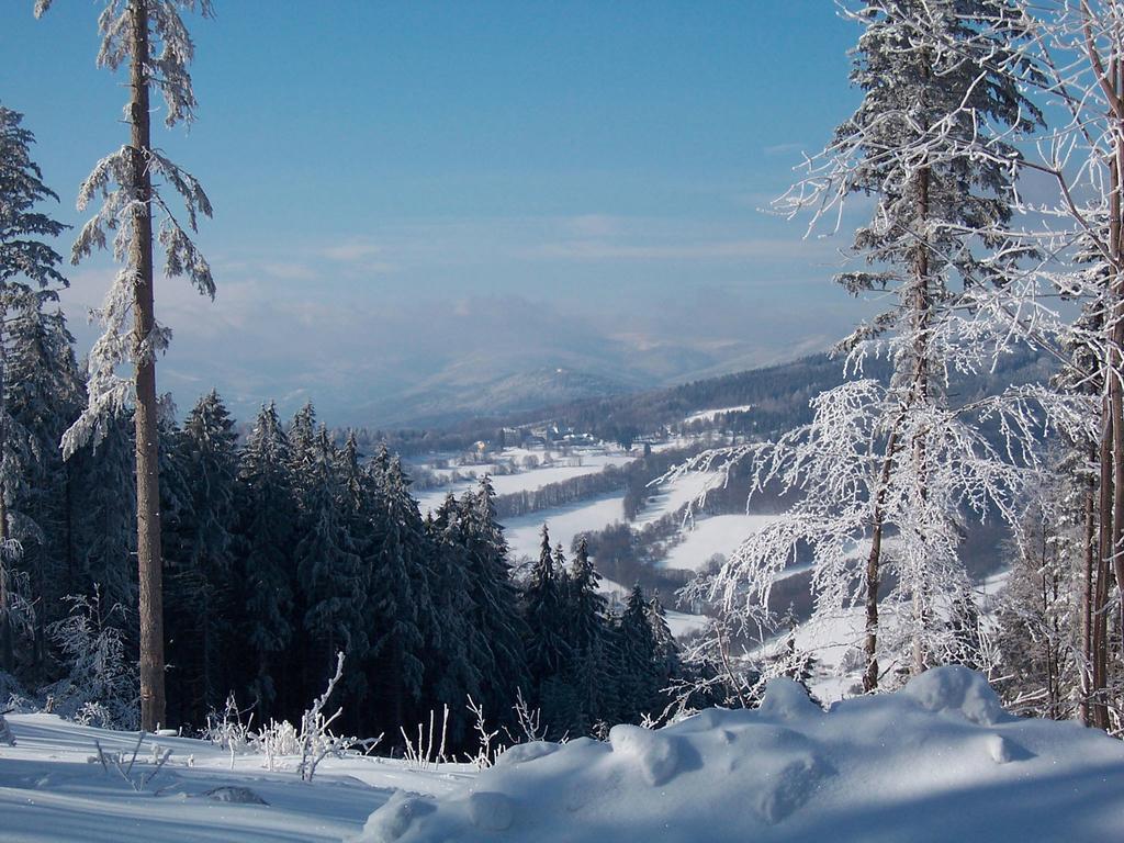 Penzion Certovy Kameny Jesenik Exterior photo